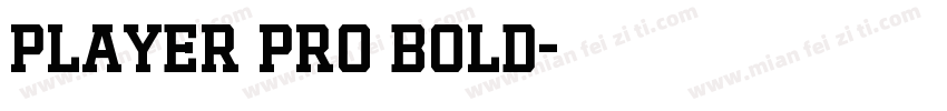 Player Pro Bold字体转换